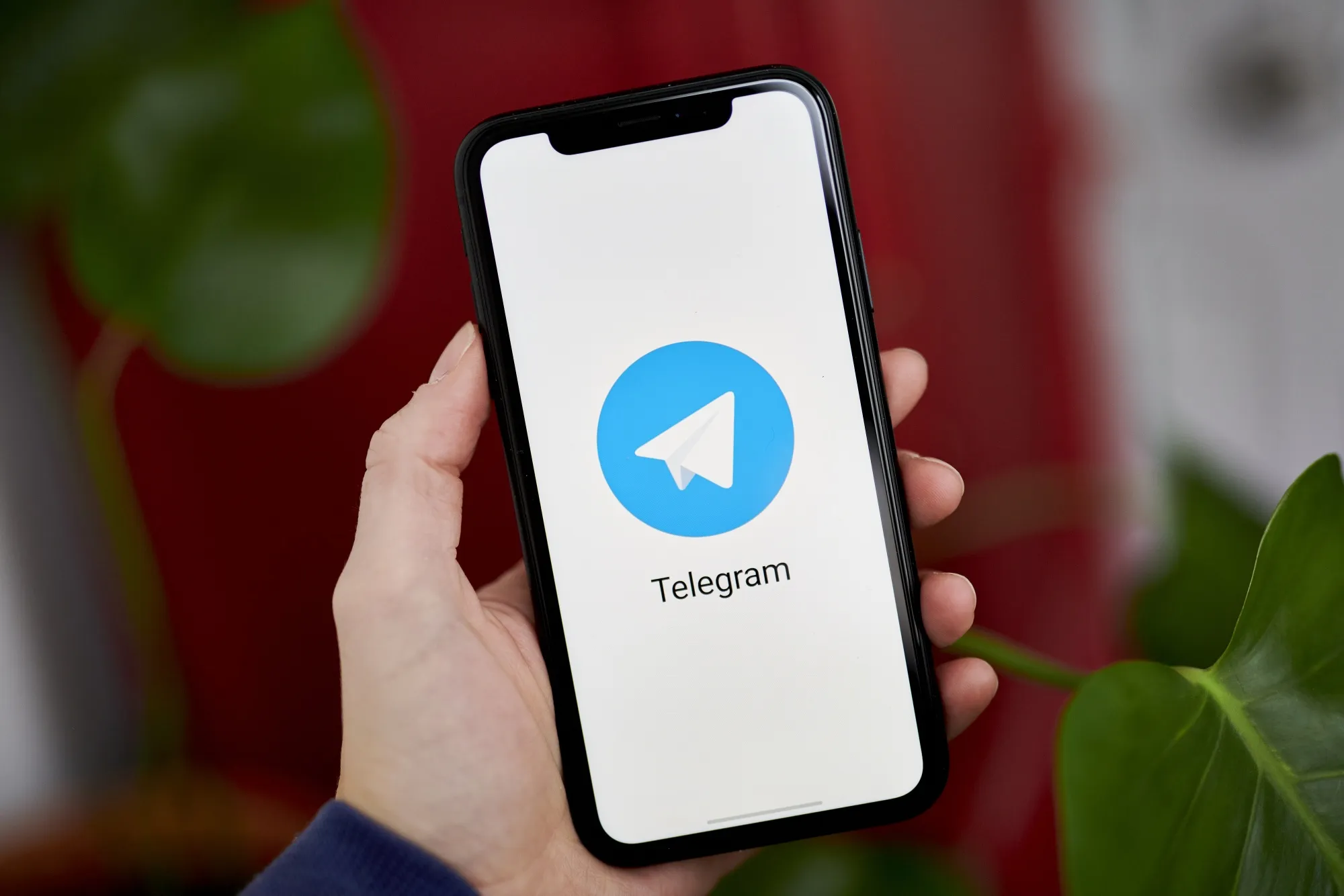 Telegram'да рекламаси энг қиммат блогерлар рейтинги — ТОП-10